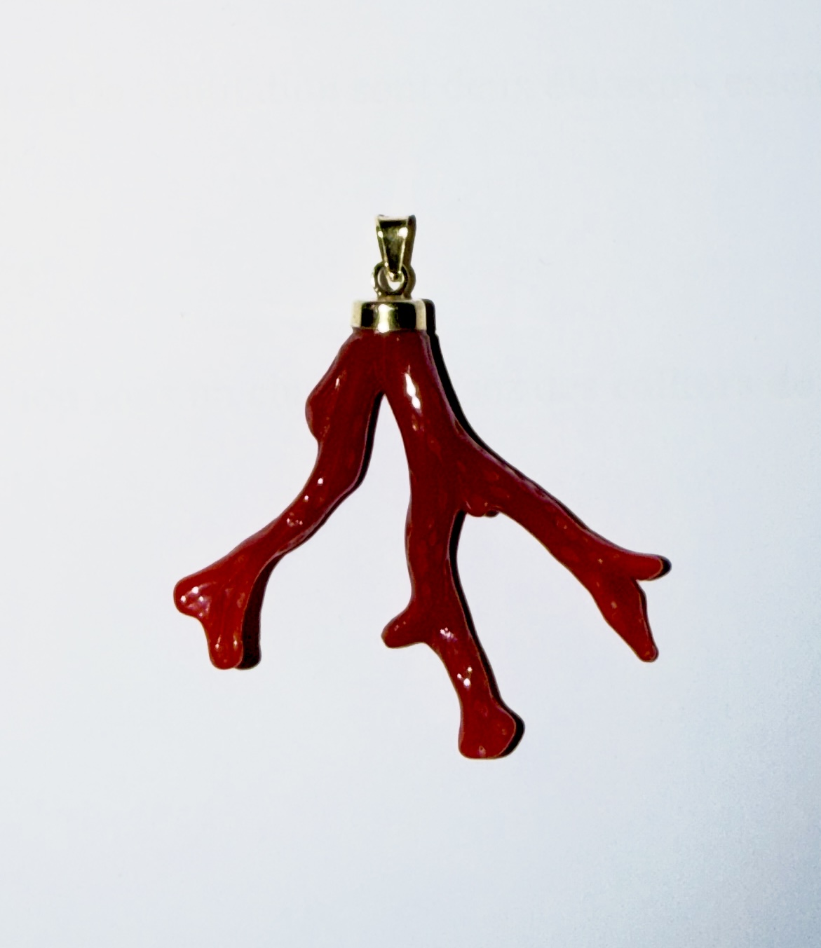 ramo de coral rouge