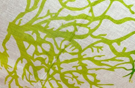 pareo coton motif corail vert citron sur blanc